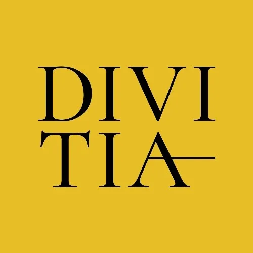 Академия танца DIVITIA
