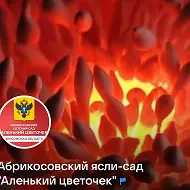 ГБДОУ ХО "Абрикосовкий детский сад "Аленький цветочек" Алешкинского района"