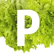 Рецептница