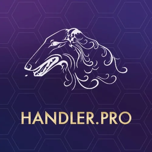 Школа HANDLER.PRO