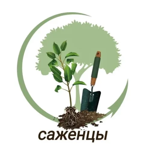 Садовая компания "Саженцы"