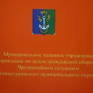 МКУ «Управление ГО и ЧС НТМО»