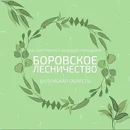 ГКУ КО "Боровское лесничество"