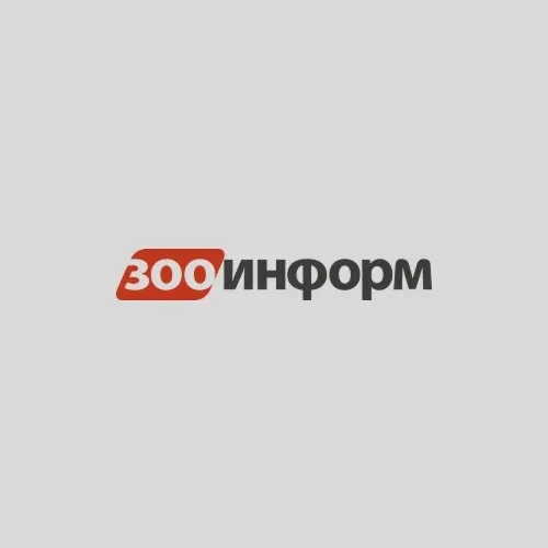 «Зооинформ»