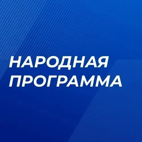Народная программа