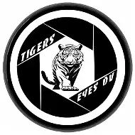 Tigers Eyes DV