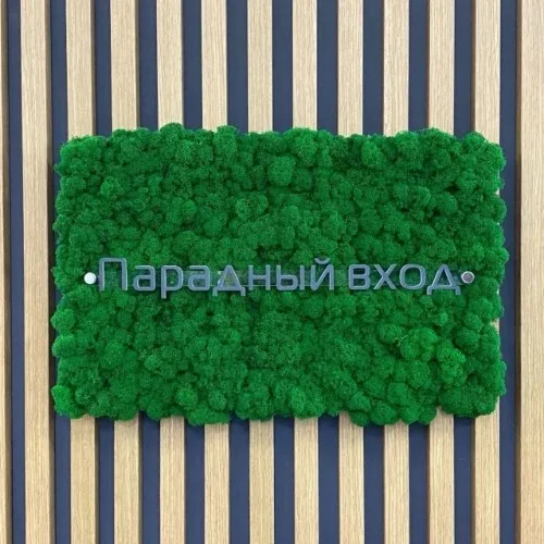Парадный вход | Двери и Окна в Смоленске