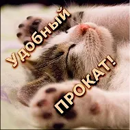 Удобный прокат Тюмень