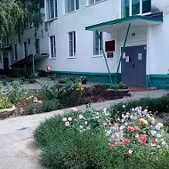 МОУ детский сад № 261