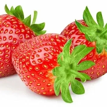 Малинки Бот