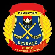 МБУДО "СШОР по хоккею с мячом"