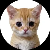 КОТЯТА ПОЯСНЯЮТ