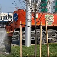 МБУ "Служба по благоустройству Советского района" г. Уфа