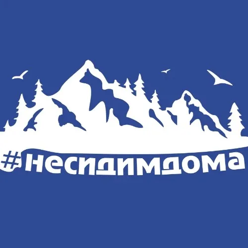 Не Сидим Дома Бот