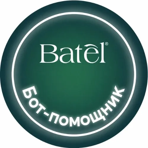 Бот-помощник Батэль