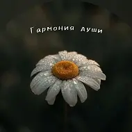 Гармония души | психология, мысли , мотивация