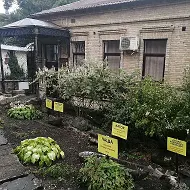 Железноводский музей