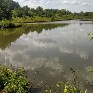 СОВЕТ СЕЛЬСКОГО ПОСЕЛЕНИЯ ДМИТРИЕВО-ПОЛЯНСКИЙ СЕЛЬСОВЕТ МУНИЦИПАЛЬНОГО РАЙОНА ШАРАНСКИЙ РАЙОН