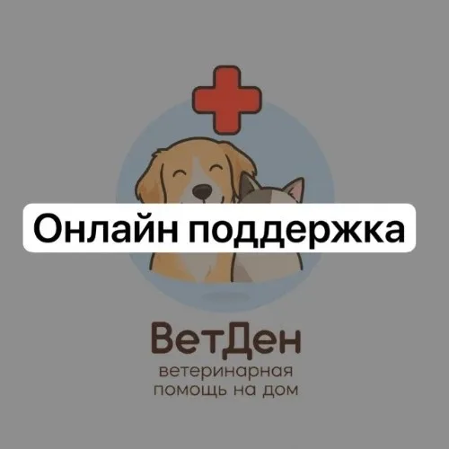 Онлайн-поддержка ВетДен