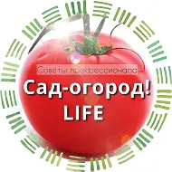 Сад огород life