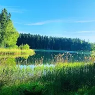 ГАУ РБ Аскинский лесхоз