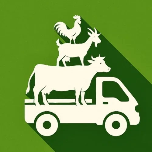 Магазин-Фермерские продукты