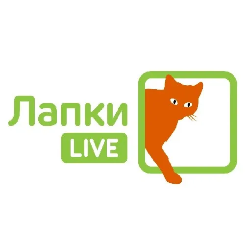 ПРИШЛИ СВОЕ ВИДЕО