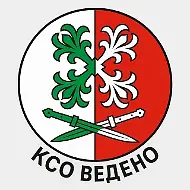 Контрольно-счетный орган Веденского района