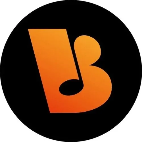 Виртуозы - школа музыки в Москве