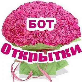 Бот открыток и поздравлений
