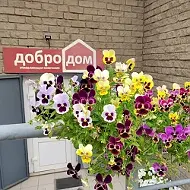УК ДоброДом