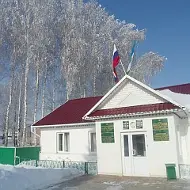 СОВЕТ СЕЛЬСКОГО ПОСЕЛЕНИЯ БУРАЕВСКИЙ СЕЛЬСОВЕТ
