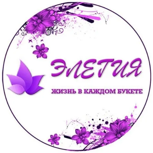 Elegiya