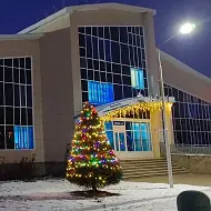 АУ ФОК "УРАЛ"