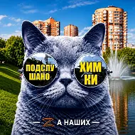Химки