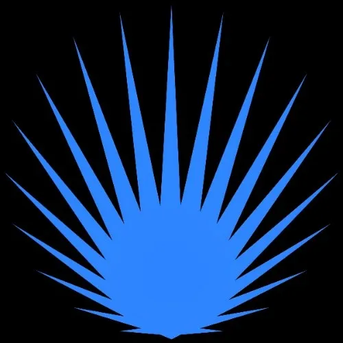 ИИ Рентгенология