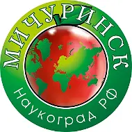 КОНТРОЛЬНО-СЧЕТНАЯ ПАЛАТА ГОРОДА МИЧУРИНКА ТАМБОВСКОЙ ОБЛАСТИ