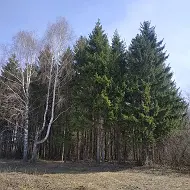 Совет сельского поселения Ильино-Полянский сельсовет Муниципального района Благовещенский район Республики Башкортостан