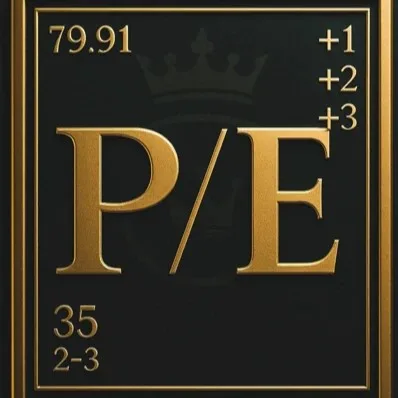 PutInvestorPay