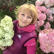Цветули у Светули