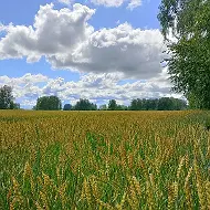 Администрация Коуракского сельсовета