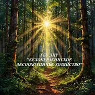 ГБУ ЛНР "Белокуракинское лесхоз"