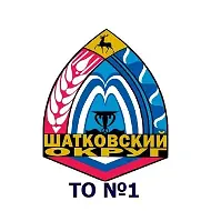 Территориальный отдел №1 Шатковского М.О.