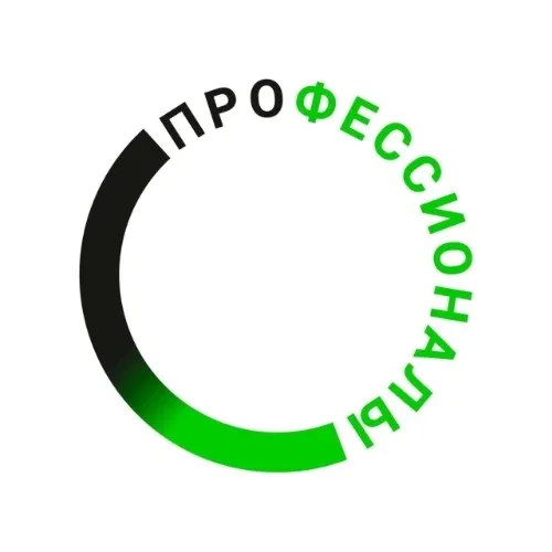 Бот-ПРОФЕССИОНАЛЫ