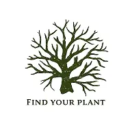 Find Your Plant - Найди своё растение