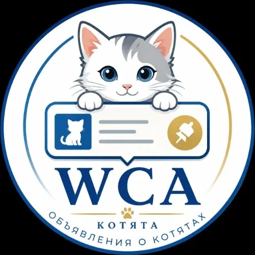 Обьявления о продажи котят WCA