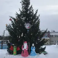 Муниципальное казенное учреждение "Физкультурно-оздоровительный комплекс" с.Яхреньга