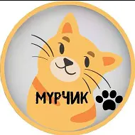 Мурчик 🐱/Котики/Пушистики/Животные/Юмор»