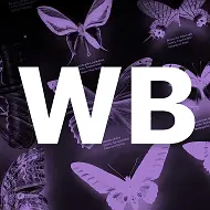 мой уголок WB/OZON