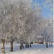 МКОУ ООШ с.Старобухарово